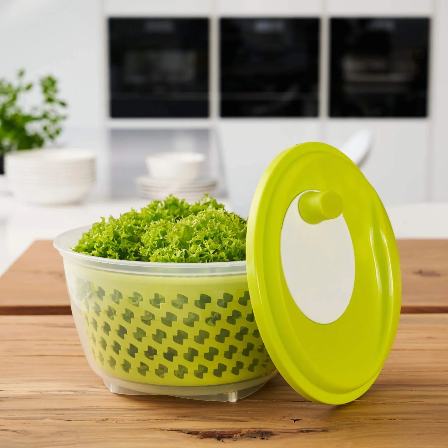 Rotho Fresh Hilandera de ensalada, Plástico (PP) sin BPA, verde/transparente, 4.5l (25.0 x 25.0 x 16.5 cm)