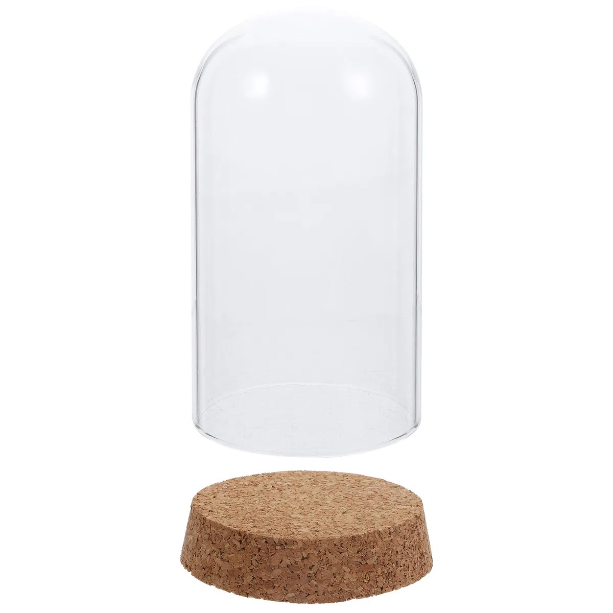 Cúpula de Cristal con Base de Corcho 8x15 Cm para Flores Preservadas, Cubierta Decorativa de Vidrio para Escritorio, Adorno Creativo de Hogar y Oficina