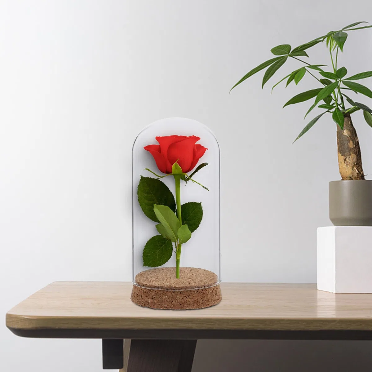 Cúpula de Cristal con Base de Corcho 8x15 Cm para Flores Preservadas, Cubierta Decorativa de Vidrio para Escritorio, Adorno Creativo de Hogar y Oficina