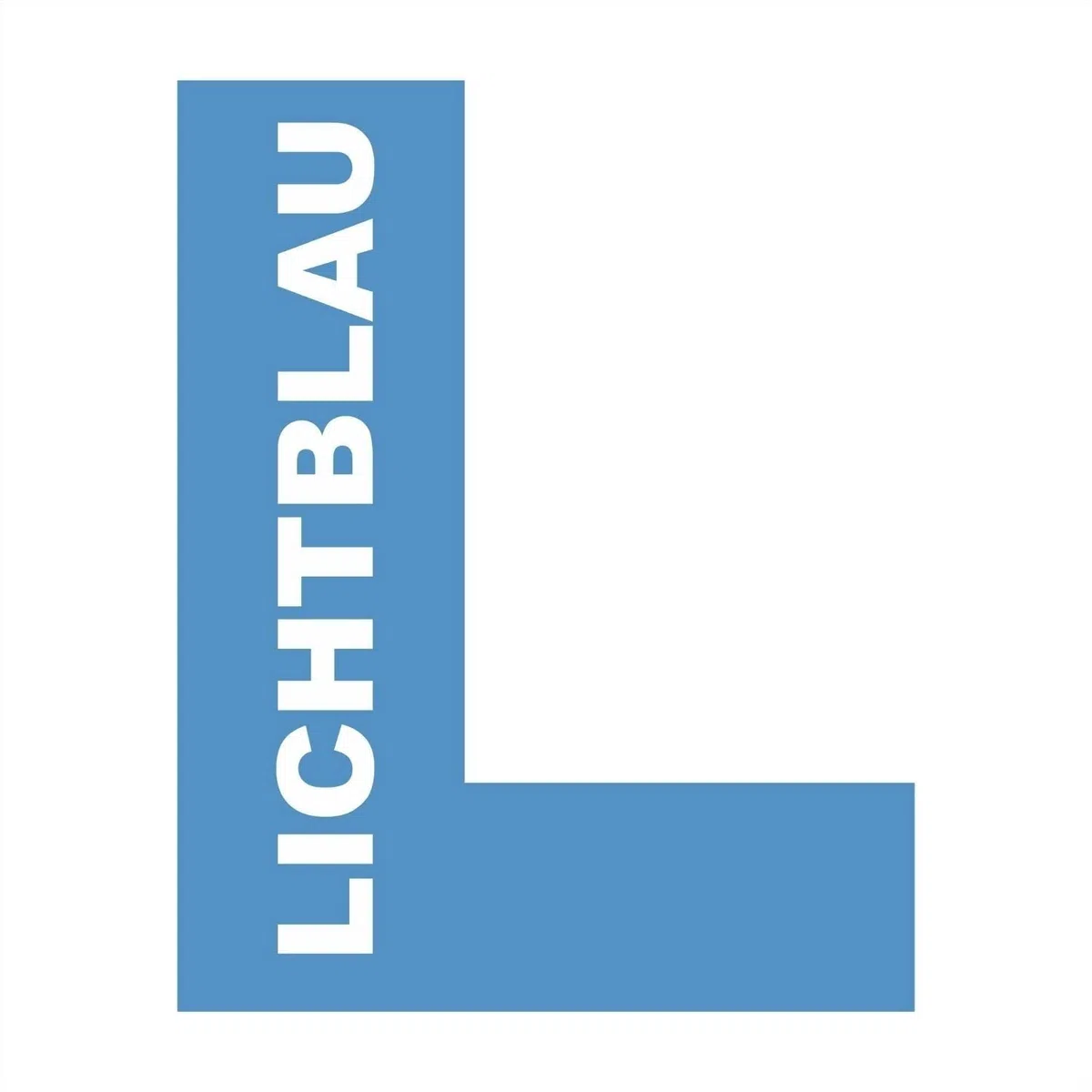 LICHTBLAU Batidor de varillas 00659596 para Bosch MFQ30 MFQ35 MFQ4 MQ95 MQ96 Robot cocina 4 alambres Accesorio compatible recambio | Batidor de varillas de repuesto con 4 cables para MFQ35, MFQ36 y MQ955