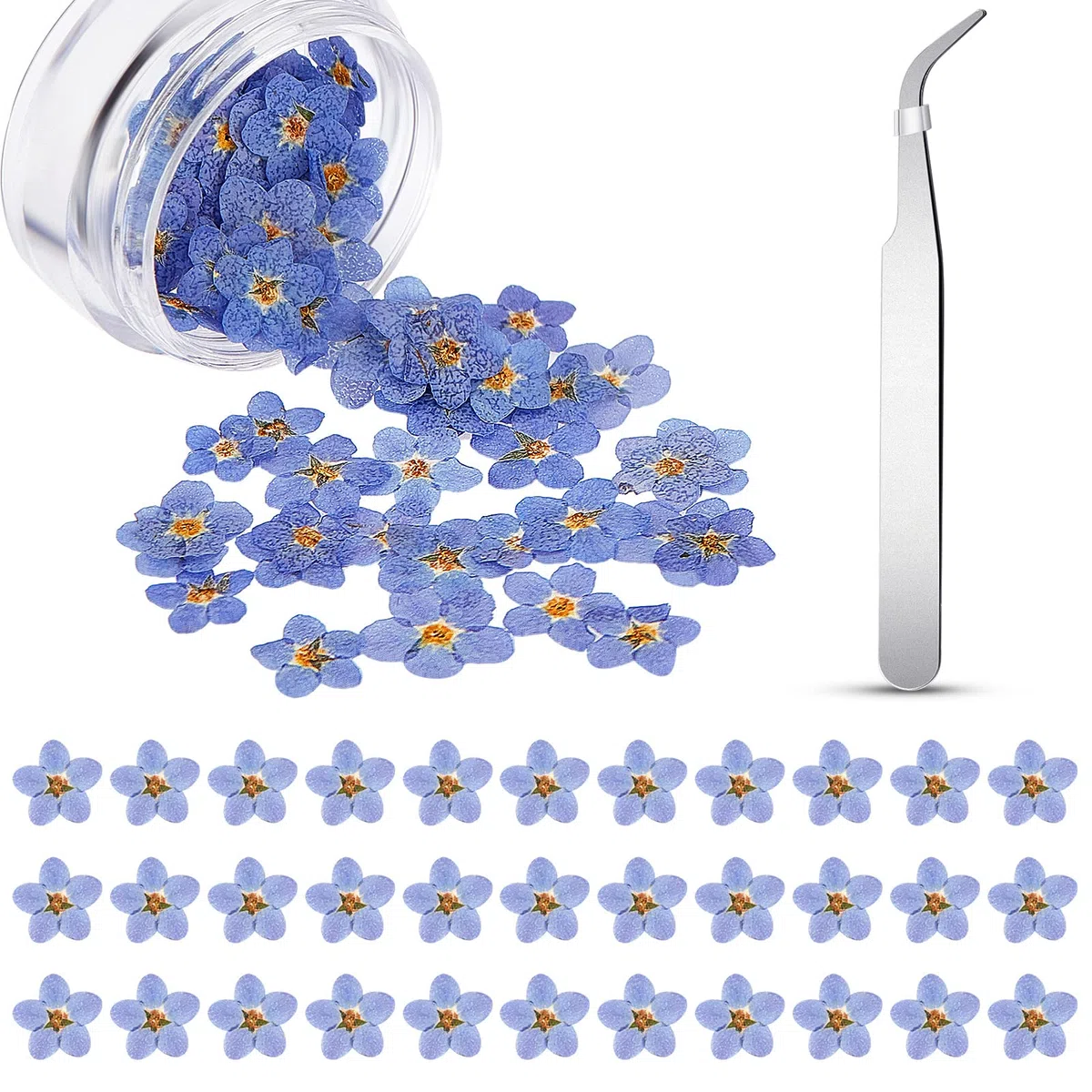 80 Flores Secas Reales Flores Prensadas Secas Naturales No me Olvides Azul con Pinzas de Codo para Resina Bricolaje Joyas Tarjetas Velas Artesanías Decoración de Uñas