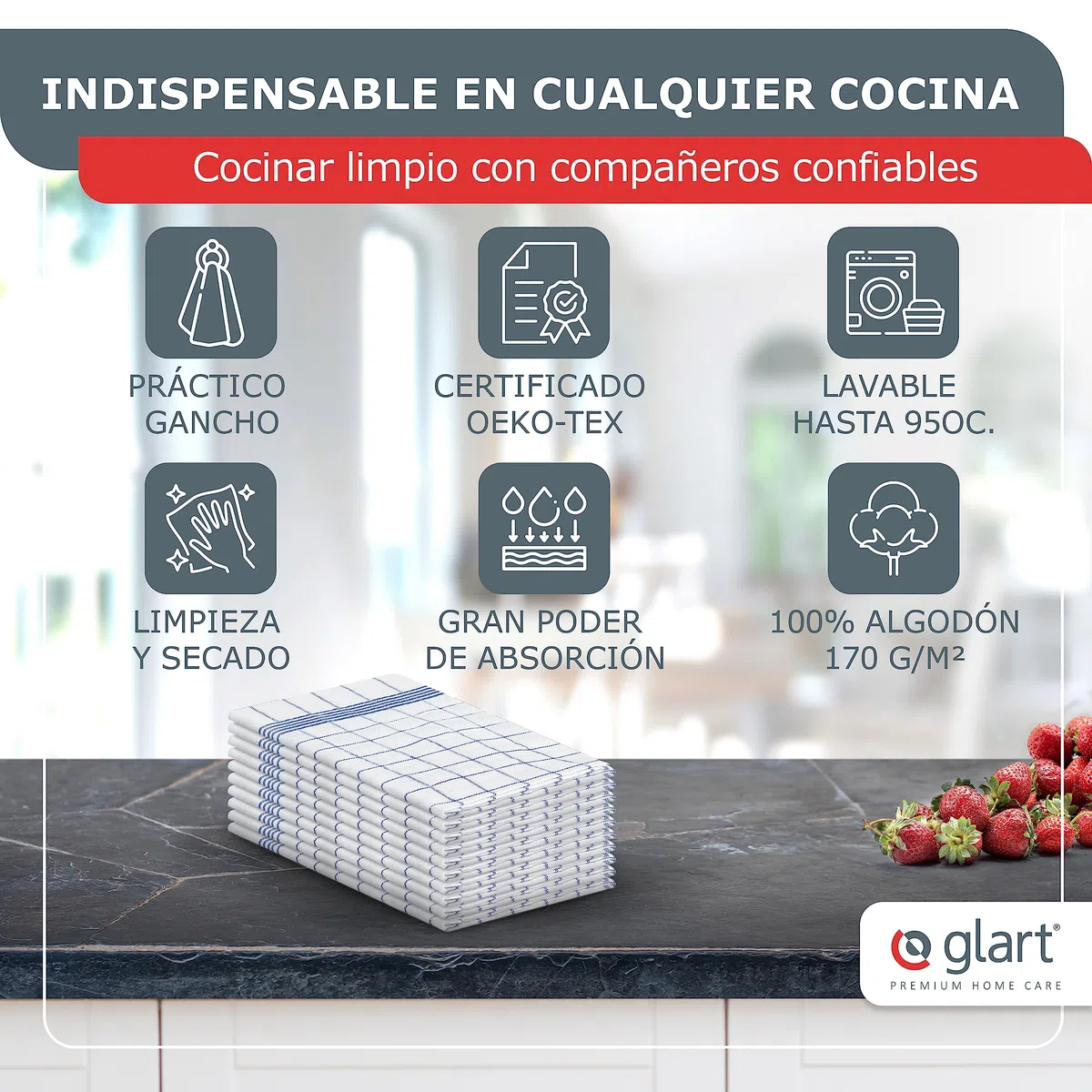 Glart 48GI2 Set de 10 paños de cocina, 50x70 cm, 100% algodón Oeko-TEX Standard 100, gris, sin pelusa, prelavado, paños para cocina y lavado.