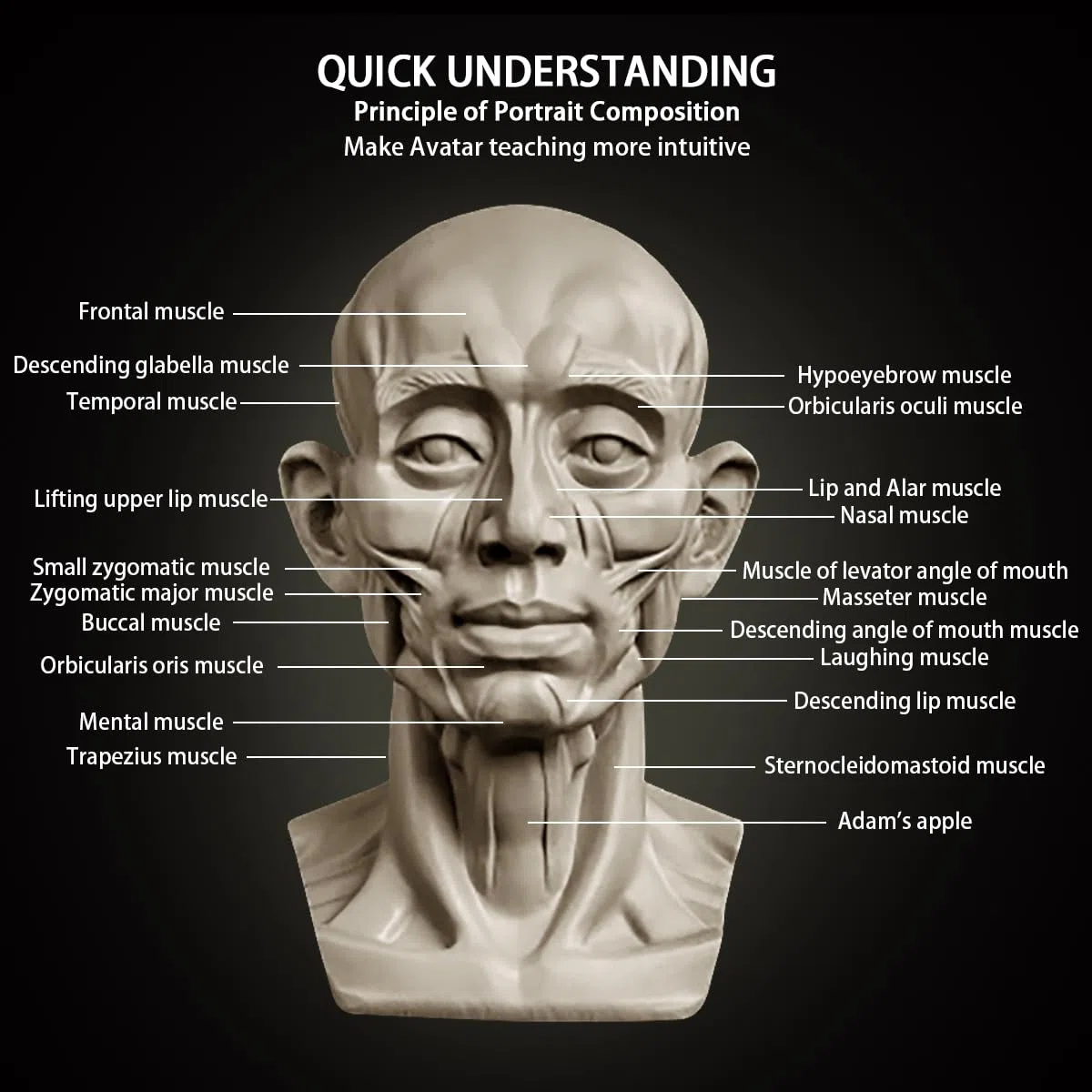 Modelos de cabeza para bocetos de retratos, estatuas de yeso de resina, modelos de dibujo de calaveras de naturaleza muerta, escultura de cabeza de maniquí humano de resina para enseñanza de