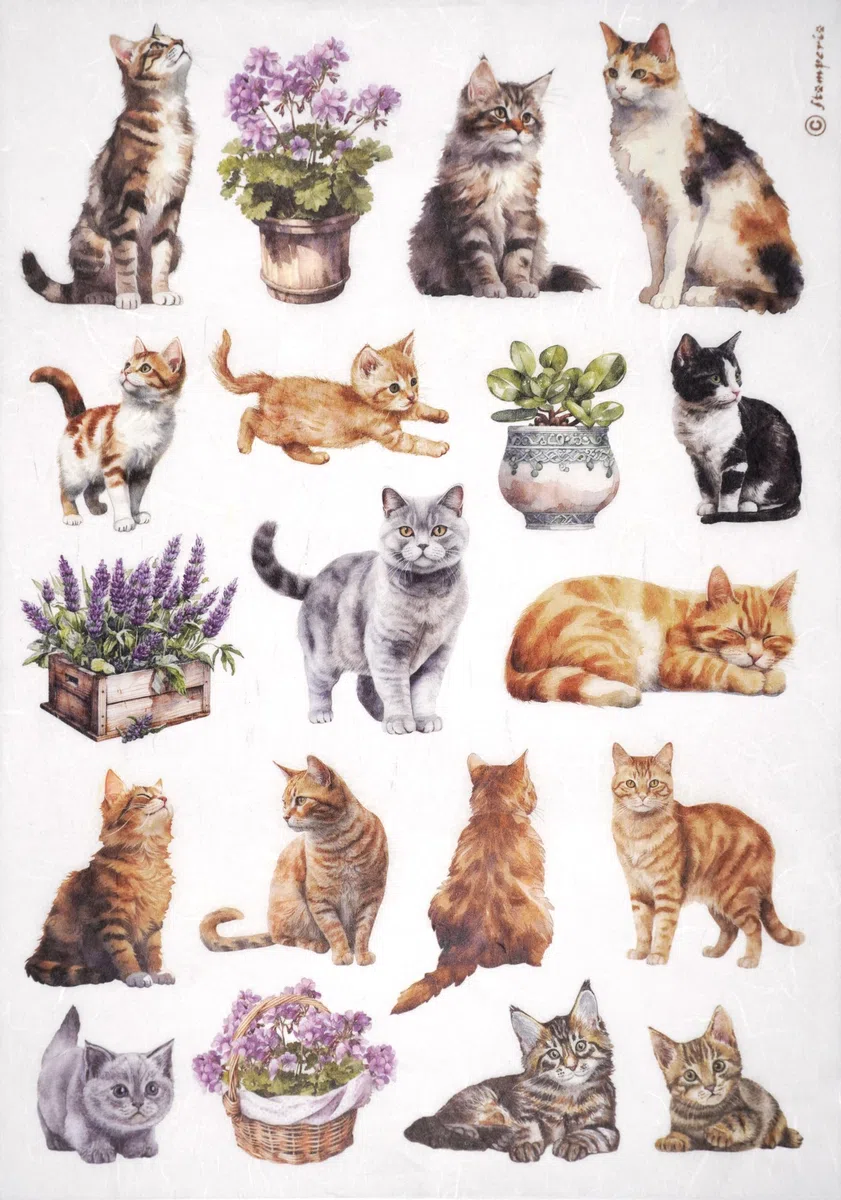 Stamperia Papel de arroz A4 - Colección de gatos y plantas