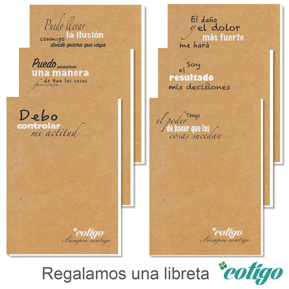 Codil - Juego de envases de plástico de grado alimenticio, redondos, reutilizables sin BPA, con tapa, para microondas y congelador, color rosa verde y azul, 12 x 0,3 l