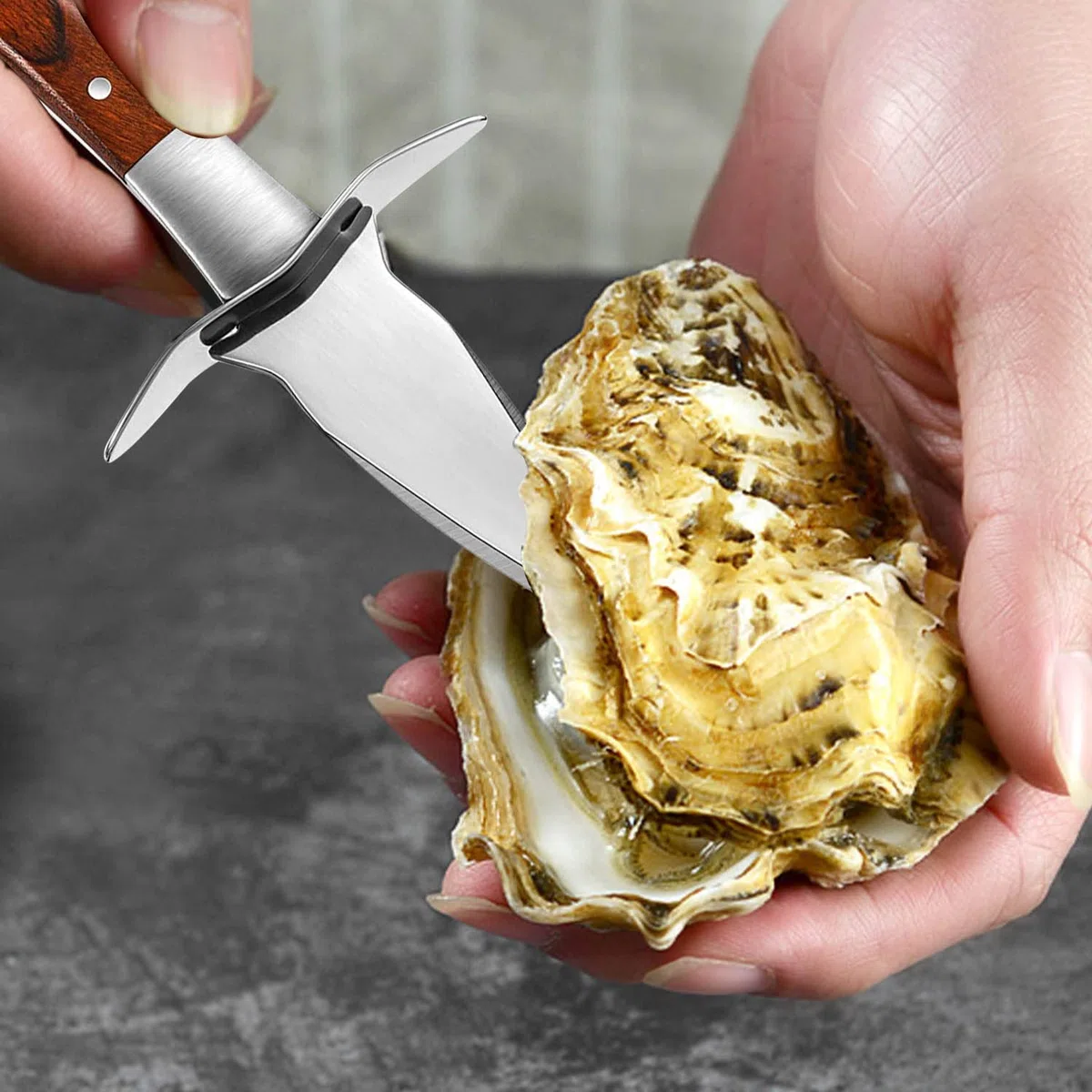 Abridor de Ostras, Ostra Shucker con Protector de Mano, Mango de Madera Adecuado de Acero Inoxidable Oyster Shucker, para Los Mariscos, Mariscos, Herramientas