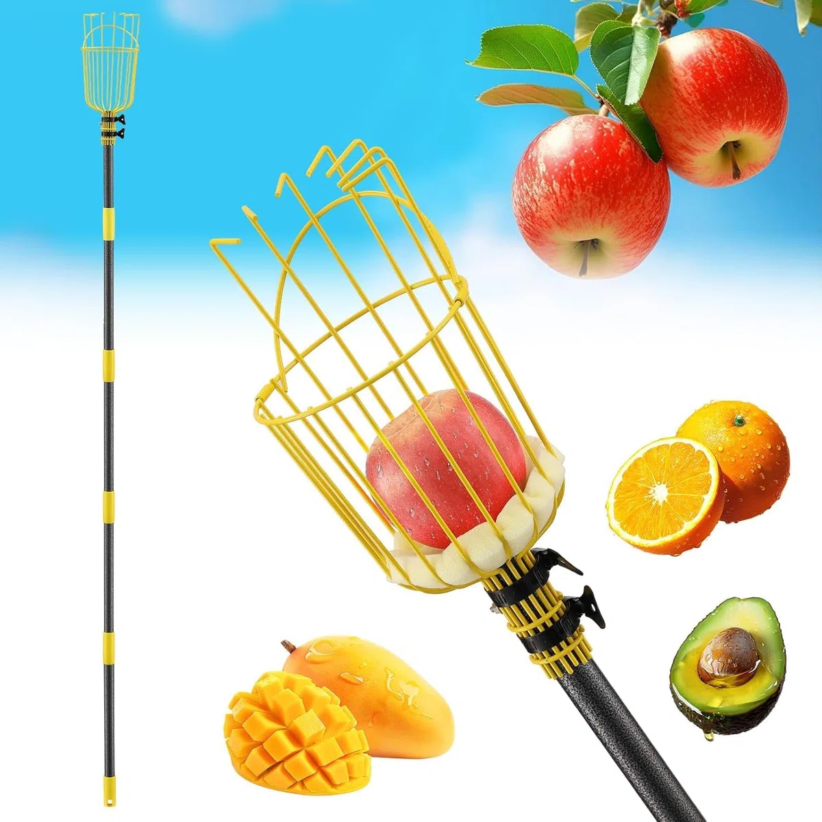 FLY HAWK Recolector de Frutas, 168cm Recogedor de Frutas con Varillas de Extensión, Fácil de Montar - Recogedor de Manzanas Recolector de Frutas Herramientas