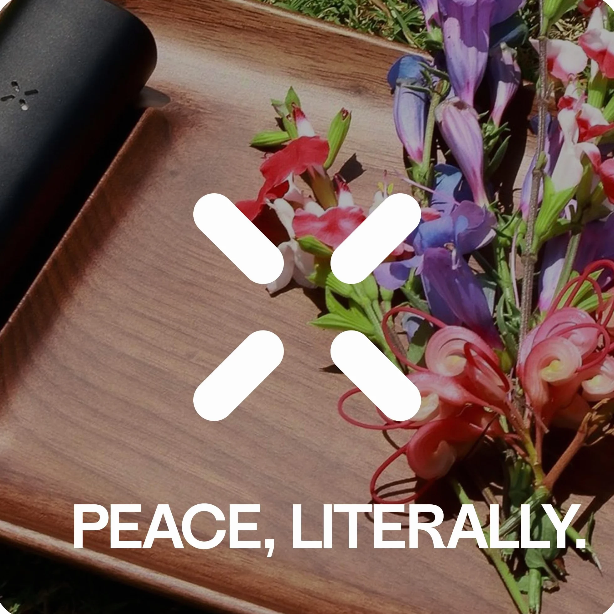 PAX | Kit de mantenimiento para vaporizador PAX 2, PAX 3, PAX Mini y Plus - Incluye : 3x pantallas 3D Oven y 1x cepillo para la limpieza el vaporizador