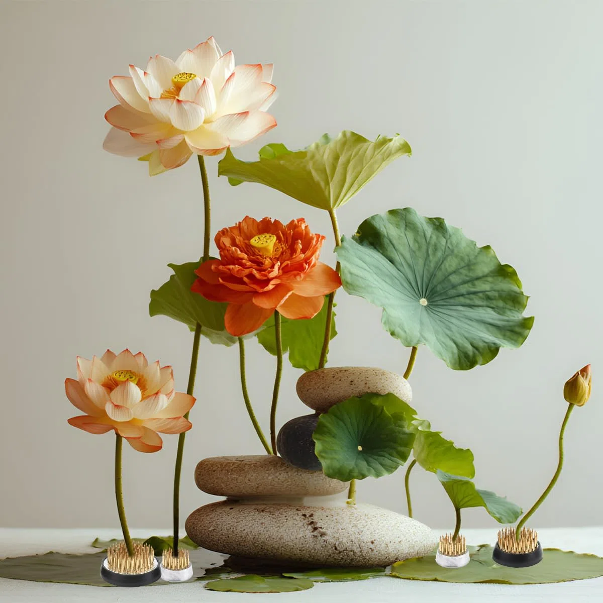 4 Soportes Redondos de Rana para Arreglos, Ikebana Redondo, Diferentes Tamaños, para Arreglos Florales, Tiendas, Oficinas, Jardines, Salones de té (23 mm/34 mm/40 mm/50 mm)