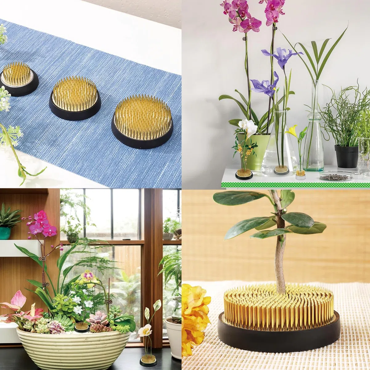 4 Piezas Flower Frog, Rana de Flores, Ikebana Kenzan, Steckigel Blumen, Kenzan Blumensteckigel Round, con Junta de Goma y Cepillo de Limpieza, para Arreglos Florales, Hogar, Oficina, Floristería