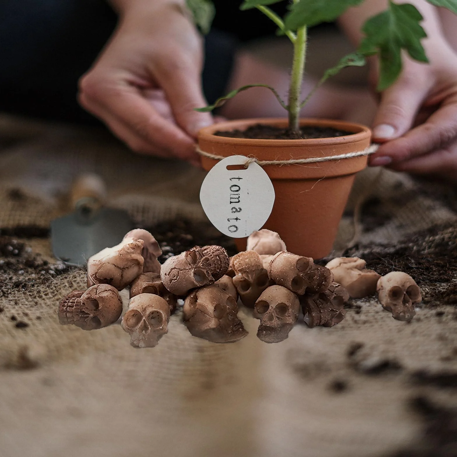 Juego de 20 Calaveras de Resina - Mini Esqueleto de Halloween - Figuras y Cabezas para Decoración de Halloween, Verduras, Plantas