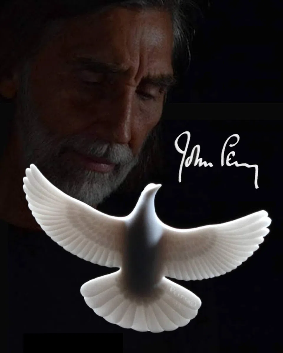 John Perry Christmas Turtle Doves The Official Turtle Doves - Juego de 2 piezas del artista oficial de la película Kevin Alone In NY