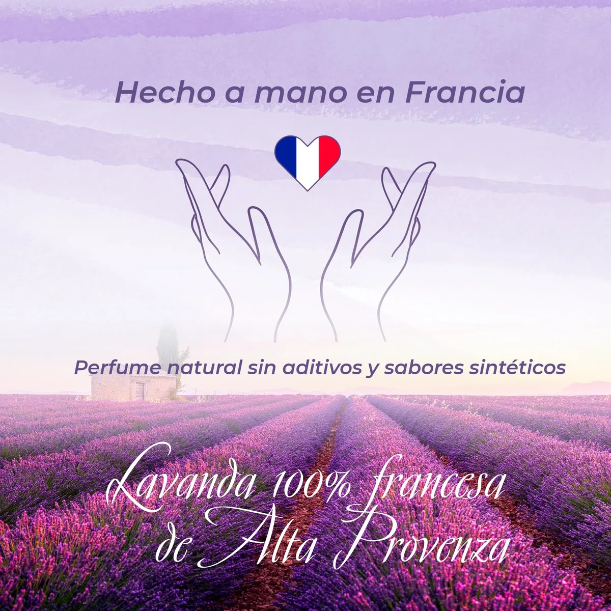 Flores secas de Lavanda a Granel para Armario, antipolillas. Gran bolsita perfumada de cogollos de Lavanda Pura y 100% Natural de Provenza, 200g, Elegante bolsita Made in France