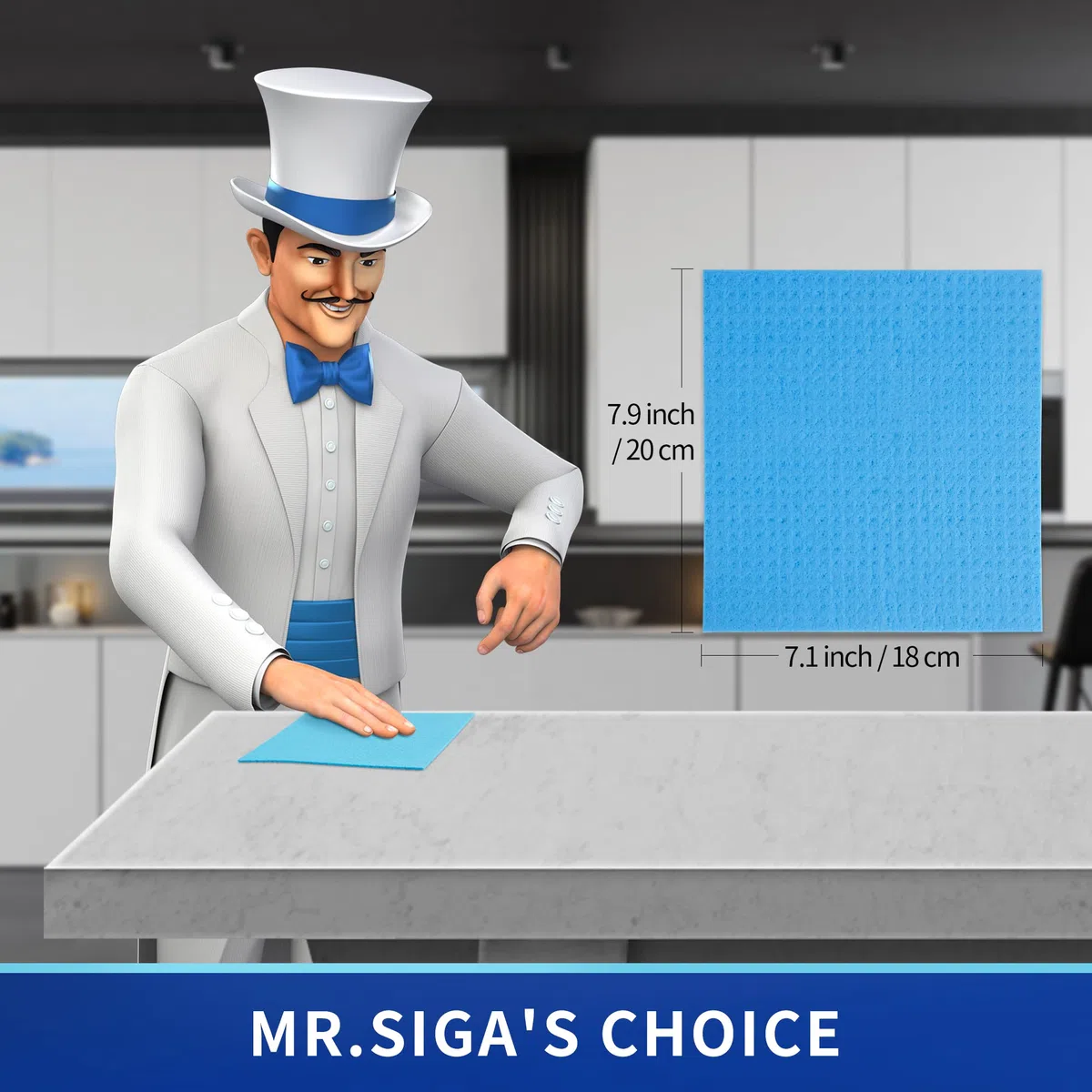 MR.SIGA Paño Esponja para Cocina, paños de Cocina absorbentes, paño de Limpieza paños de Cocina Reutilizables, 10 Piezas