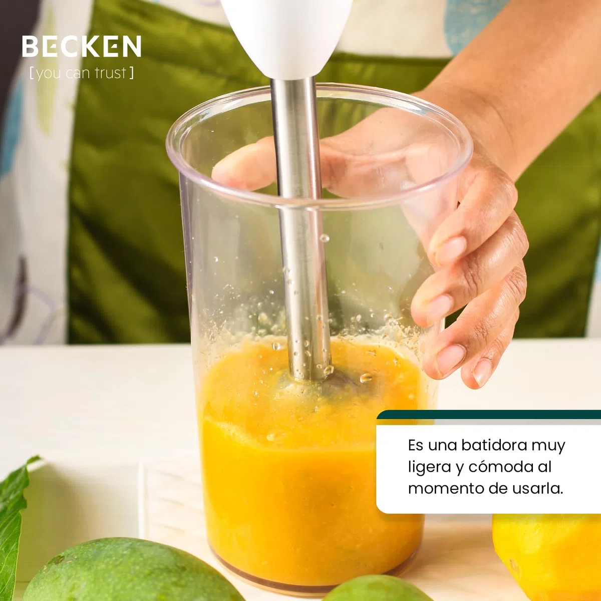 BECKEN - Batidora de Mano - 2 Velocidades Variables - Acero Inoxidable - Potencia 600W - Incluye vaso Medidor
