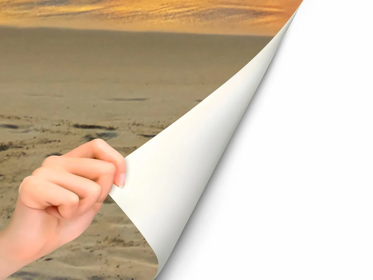 Oedim Vinilo Frigorífico Anochecer en Playa Tropical 185x60cm | Adhesivo Resistente | Pegatinas de Nevera Económicas y Elegantes | Vinilo Nevera