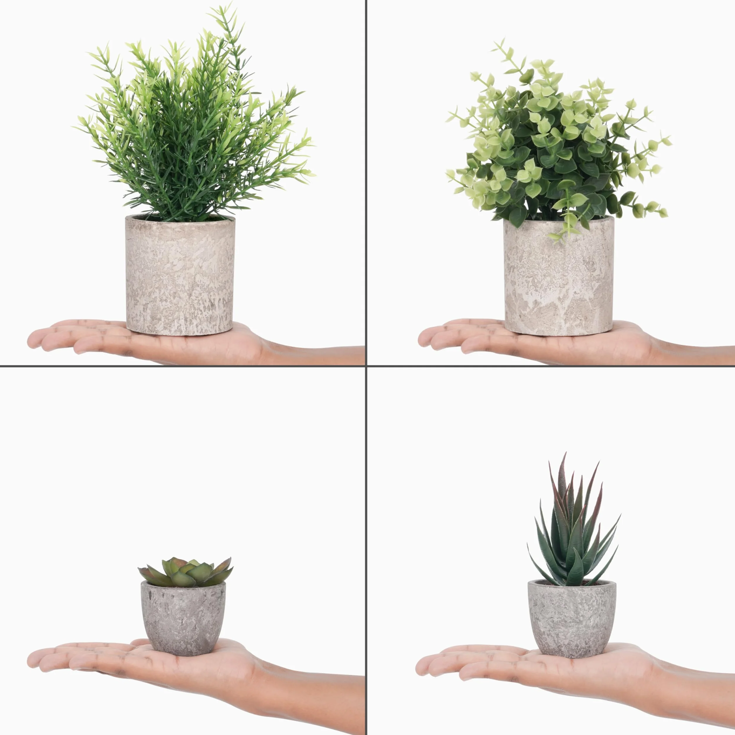 Winter Shore Planta Artificial Verde Pequeña (Pack de 4) - Plantas Artificiales Decorativas con Estilo Campesino - Maceta Interior para Baño y Escritorio de Oficina - Eucalipto y Plantas Suculentas