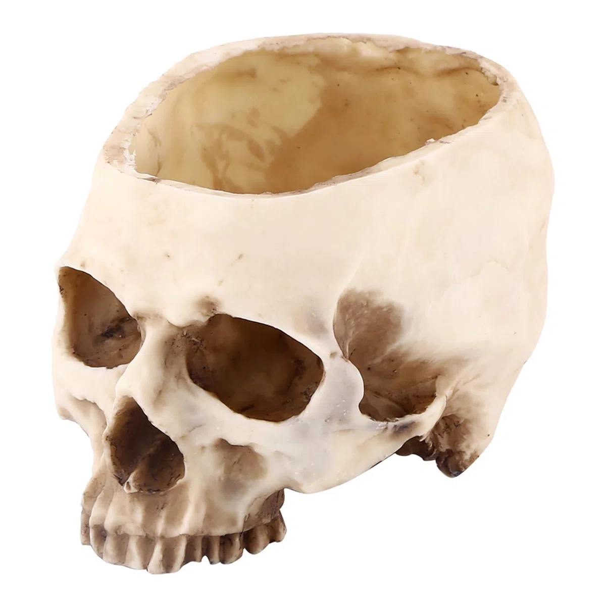 Cabeza de Calavera de Resina, Cabeza de Calavera de Resina Artificial, Cabeza de Calavera Humana Realista, Modelo de Hueso, Cabeza de Resina Moderna con Forma de Calavera, Maceta, Maceta, Contenedor,