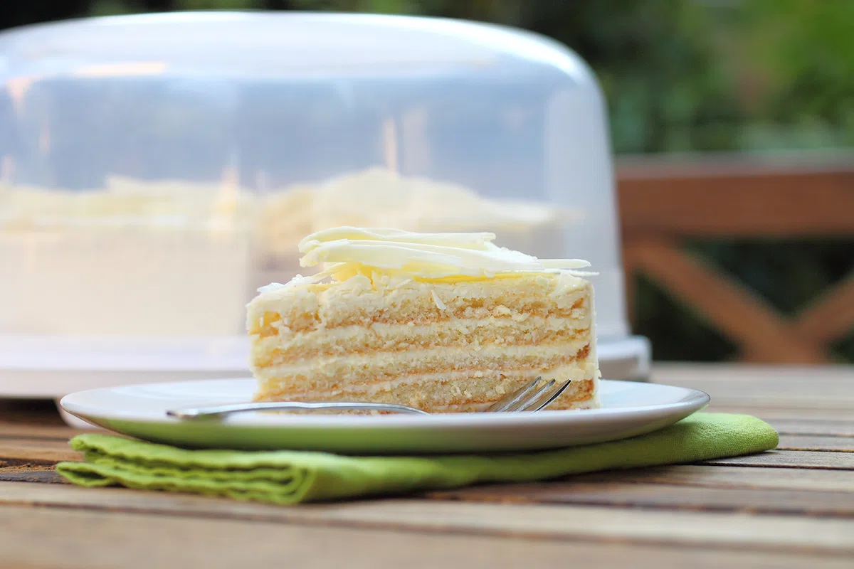 Rotho Fresh, campana de alta torta con capucha y asa de transporte, Plástico PP sin BPA, blanco, transparente, 35.5 x 34.5 x 16.5 cm