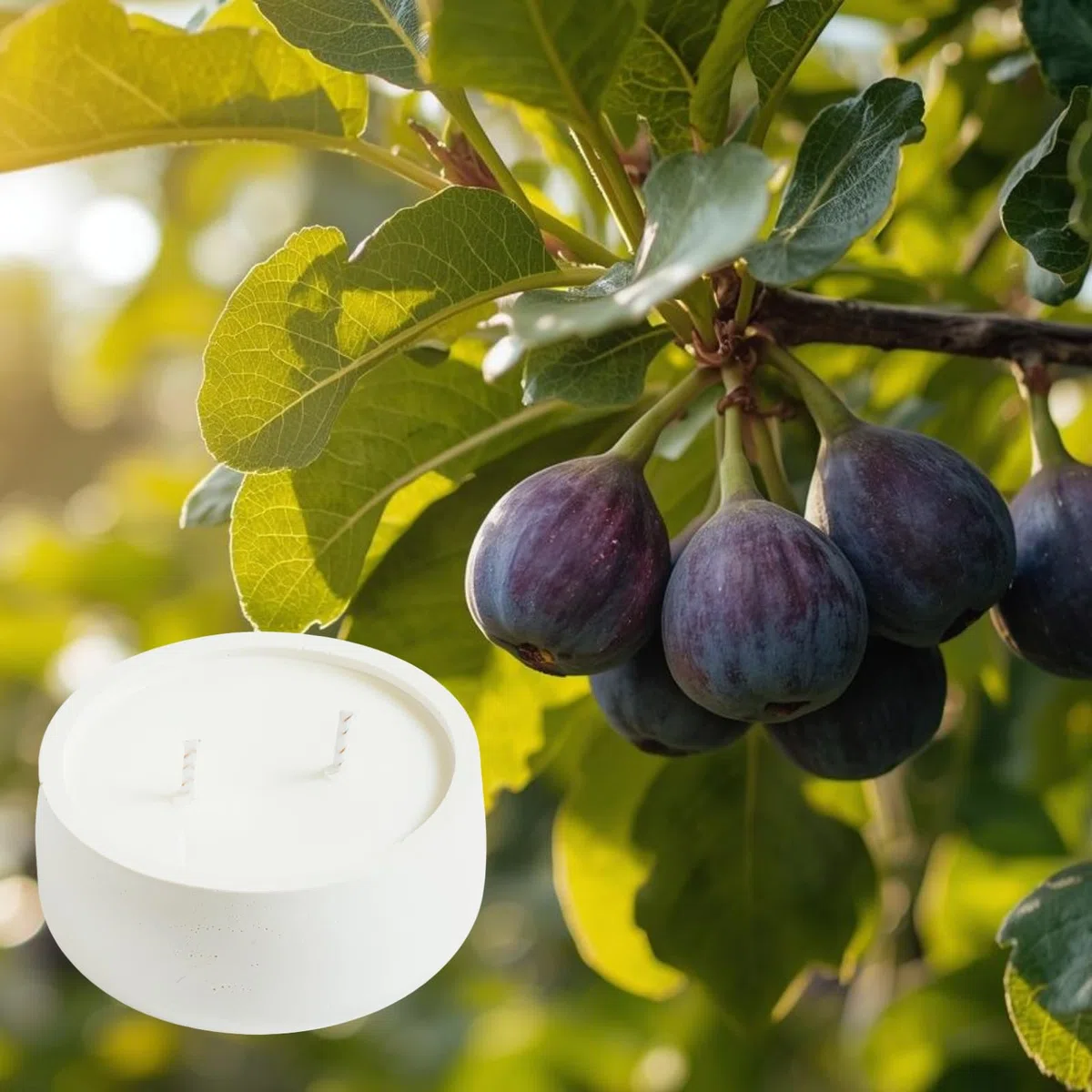 Figué – Vela Aromática de Cera de Soja | Mecha de Algodón | Aroma Verde Fresco y Mediterráneo | Hecha a Mano en Valencia | Vela Decorativa y Regalo
