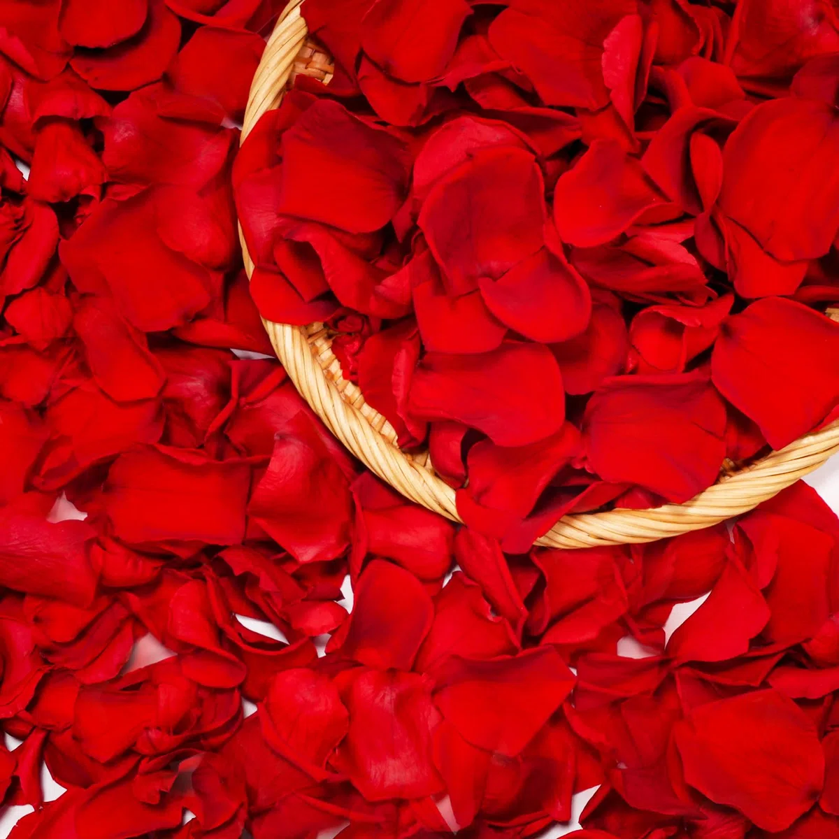 Miofula Petalos de Rosa Naturales Regalos San Valentin,Pétalos de Rosa Propuestas de Matrimonio y Compromiso,Flores Regalo Mujer Pareja Novia,Rosa Eterna Decoración Aniversario Boda Navidad Cumpleaños