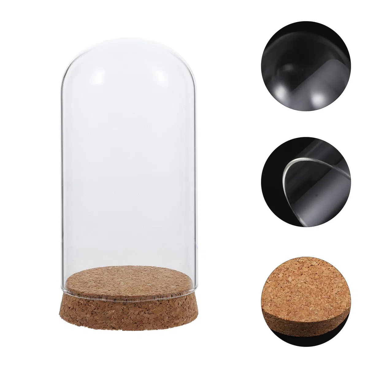 Cúpula de Cristal con Base de Corcho 8x15 Cm para Flores Preservadas, Cubierta Decorativa de Vidrio para Escritorio, Adorno Creativo de Hogar y Oficina