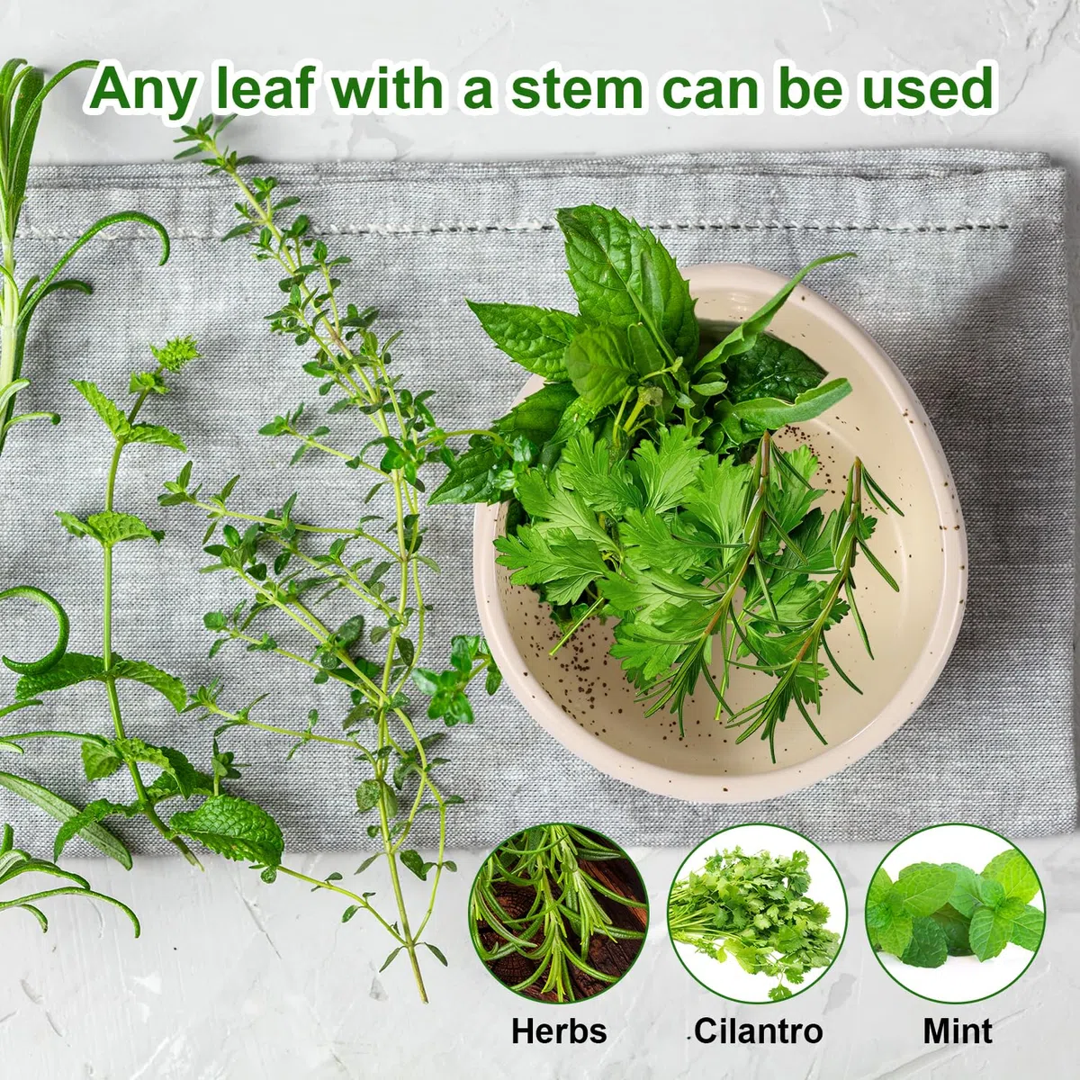 Lyreh Recipiente de Cerámica para Deshierbar Hierbas, Decapante Hierbas Eficaz Utensilio de Cocina para Perejil Cilantro Tomillo Romero y Menta