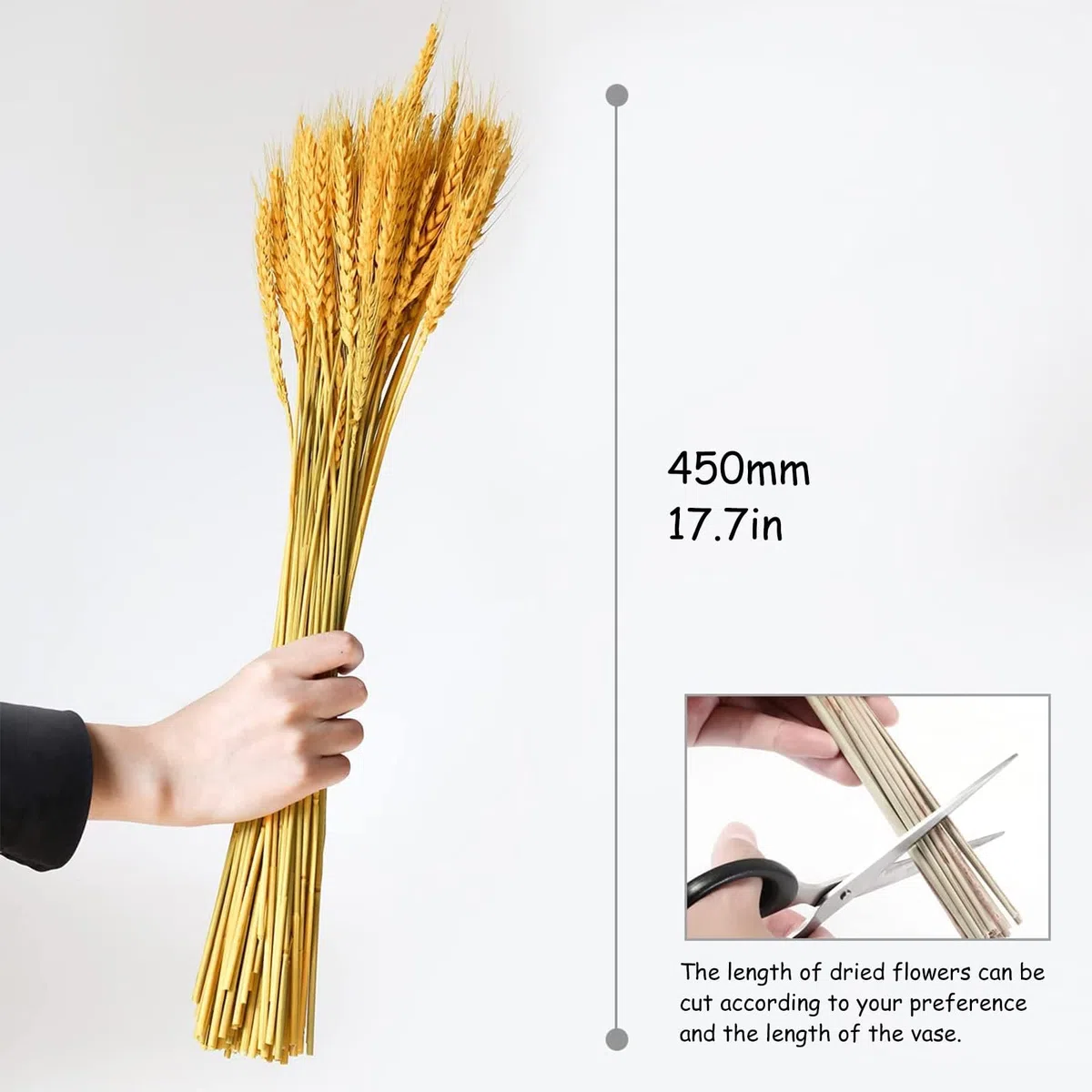 100pcs Flores de Trigo Seco Espigas de Trigo Secas Dried Flowers 45 cm Flores Secas Naturales Adecuado para Decoración de Chimeneas, Mesas, Decoración de Bricolaje y Más