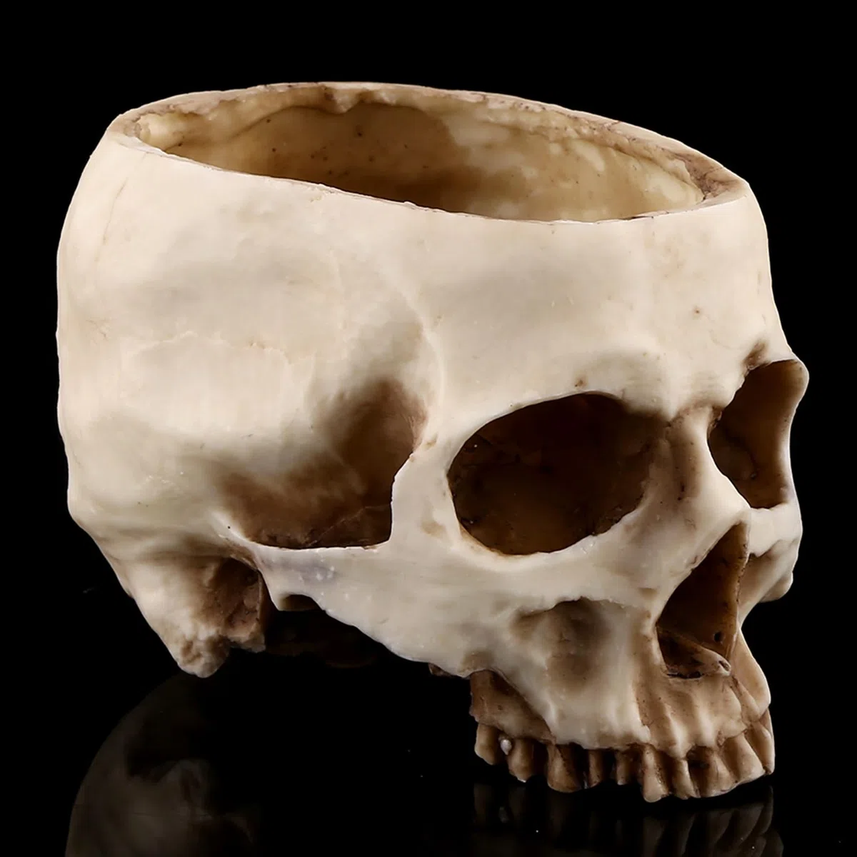 Cabeza de Calavera de Resina, Cabeza de Calavera de Resina Artificial, Cabeza de Calavera Humana Realista, Modelo de Hueso, Cabeza de Resina Moderna con Forma de Calavera, Maceta, Maceta, Contenedor,