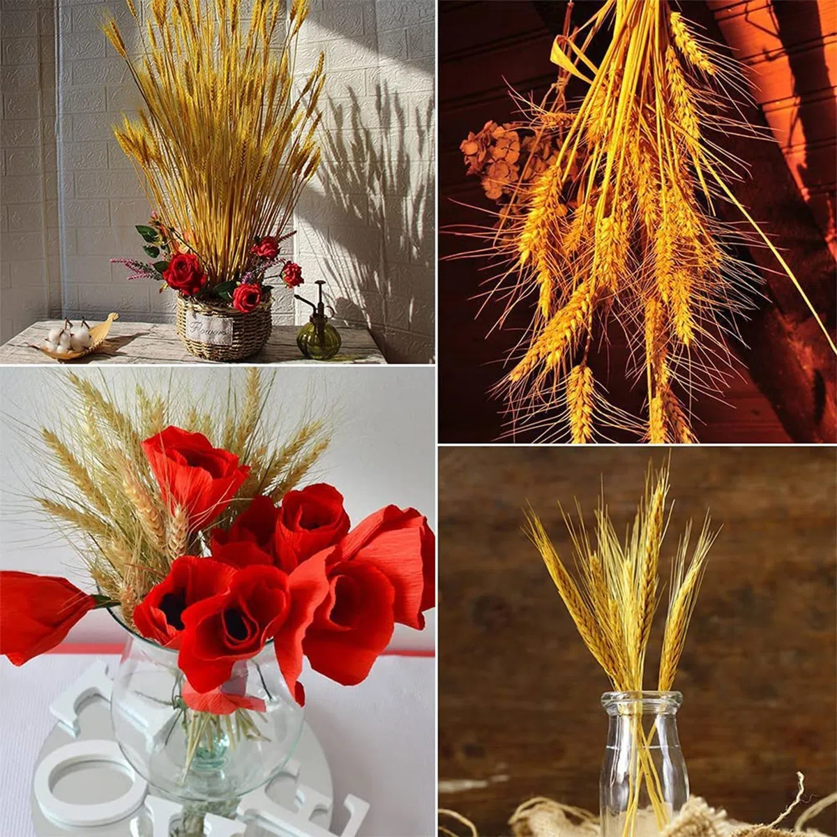 100pcs Flores de Trigo Seco Espigas de Trigo Secas Dried Flowers 45 cm Flores Secas Naturales Adecuado para Decoración de Chimeneas, Mesas, Decoración de Bricolaje y Más