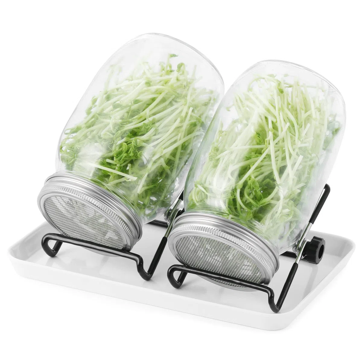 Juego de 2 vasos de germinación de 1000 ml con tapas y soportes y cuencos. Vasos para brotes y germinación de semillas