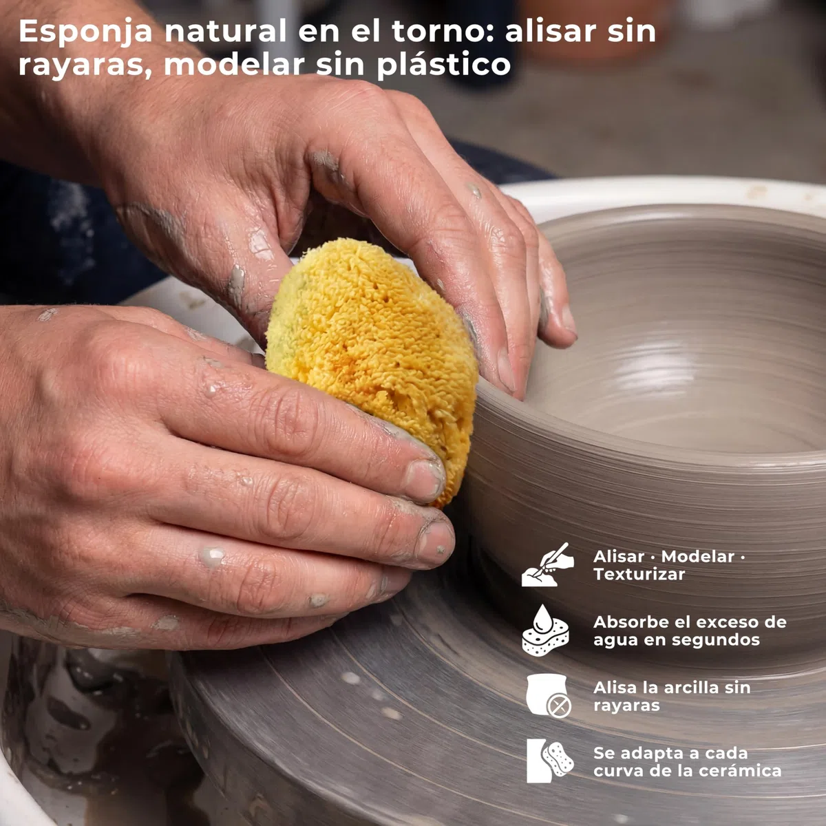 tom&pat® Esponja Natural para Pintura • para Escuela y Manualidades • niños y Artistas • acrílico y Acuarela • Dermatest excelente • Lavable y Reutilizable • Calidad mediterránea Grecia (5 x 3-7 cm)