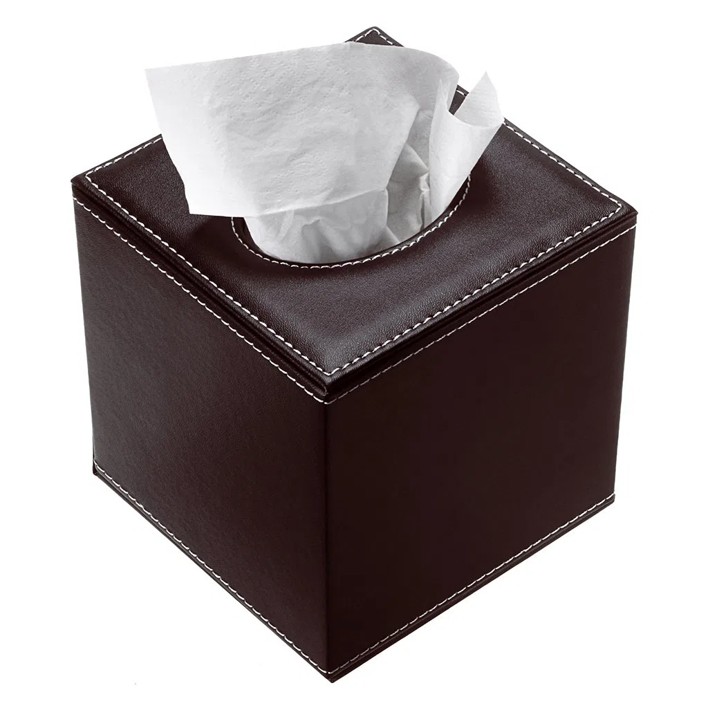 BTSKY - Caja de Pañuelos de Poliuretano y Cuero, Forma Rectangular, Ideal para Sala de Estar, Baño, Oficina, Hotel