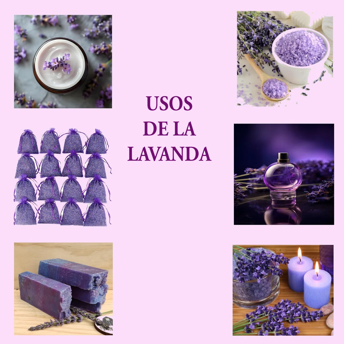 Lavanda Seca 100% Natural de Grado Superior - 200g de Flores Aromáticas para Cosmética, Bolsitas y Decoración