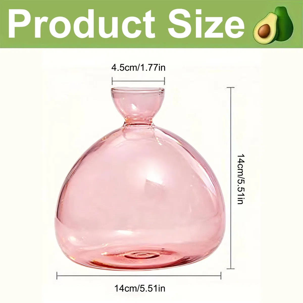 Jarrones de aguacate transparente para cultivar aguacates y castañas, jarrones de cristal para aguacates y castañas, jarrón de cristal hidropónico para flores, para decoración de boda, mesa de salón