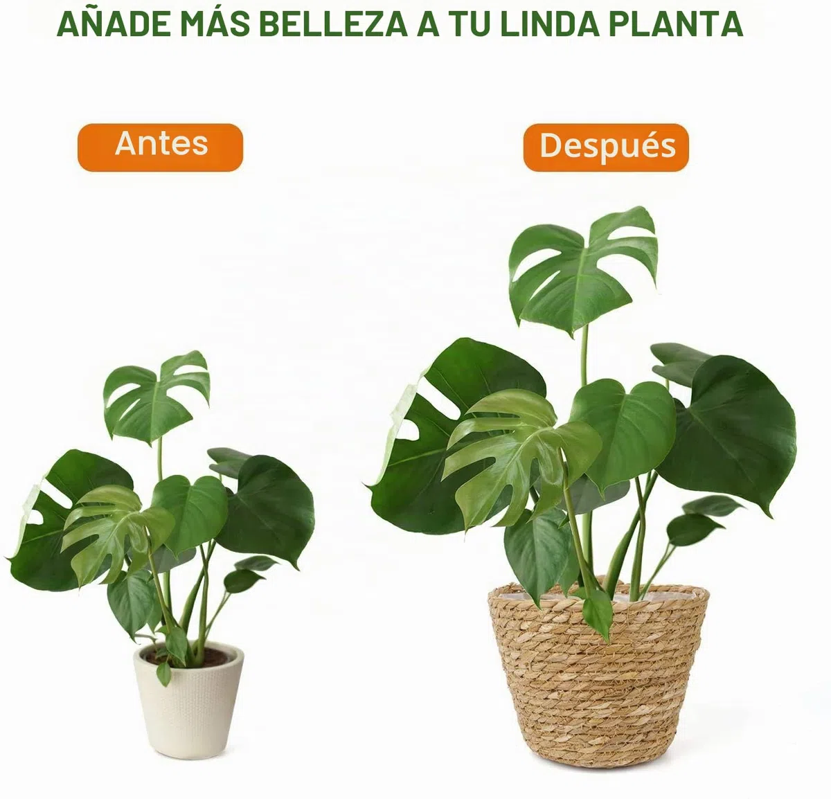 7Wunderbar Seagrass Basket, Plant Baskets, Flower Basket, Plant Basket, Plant Pots, Planters, Storage Basket, 18 cm
