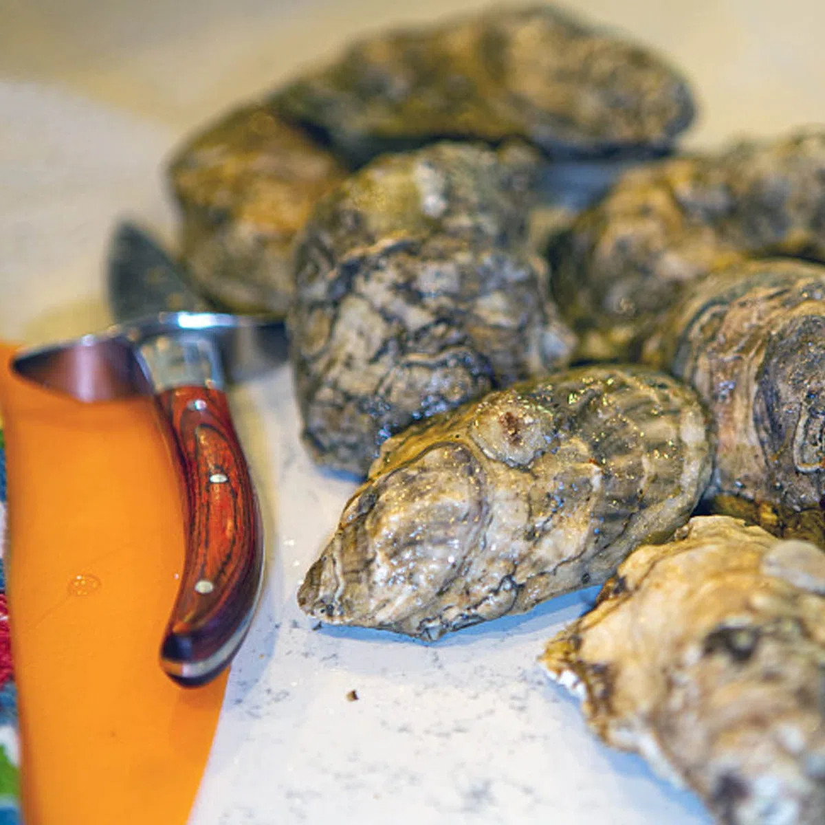 Abridor de Ostras, Ostra Shucker con Protector de Mano, Mango de Madera Adecuado de Acero Inoxidable Oyster Shucker, para Los Mariscos, Mariscos, Herramientas
