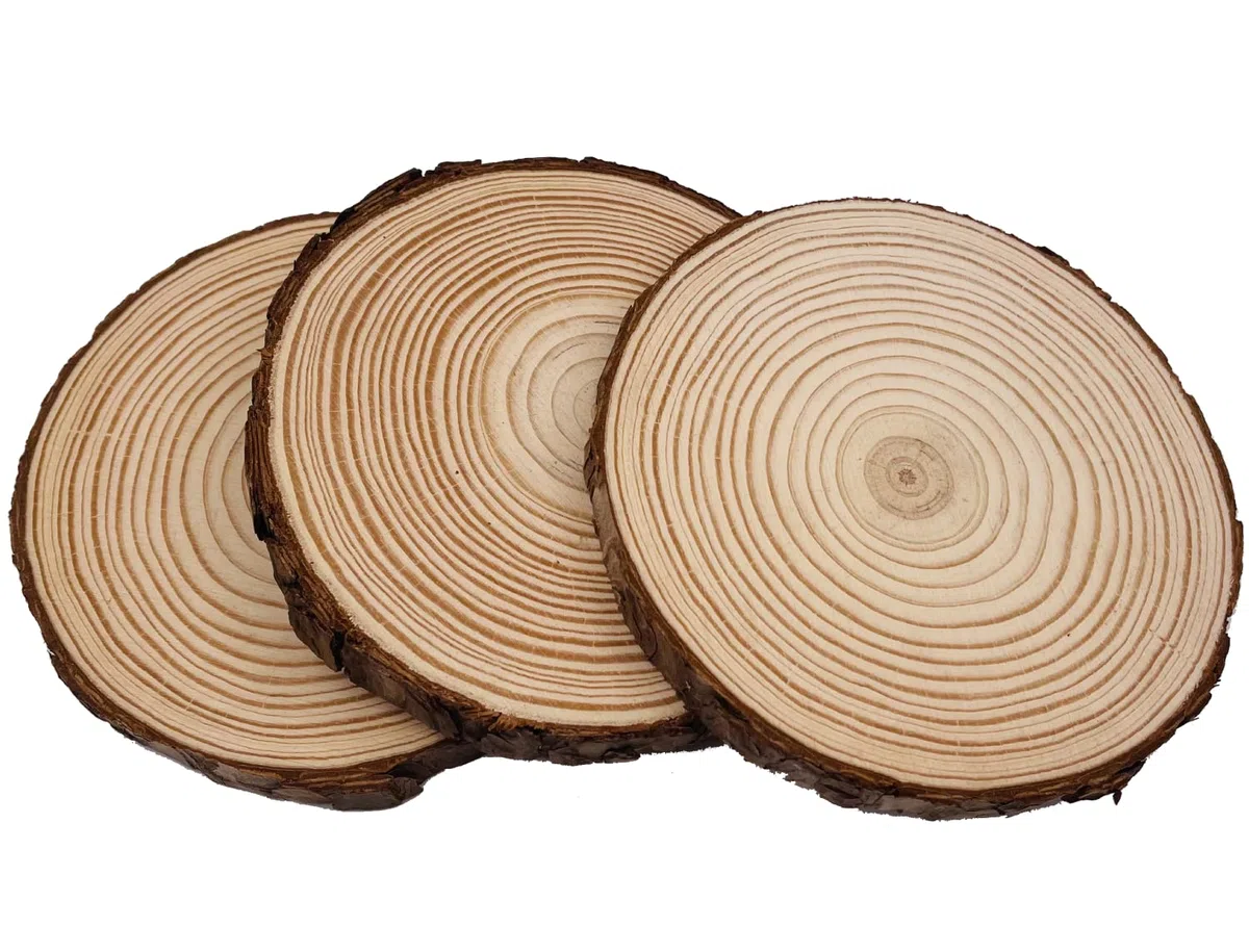 William Craft Rodajas de Madera Diámetro 14-15 cm 8pcs Troncos Madera Decoracion Apto para Pirograbador de Madera, Pintura,Navidad