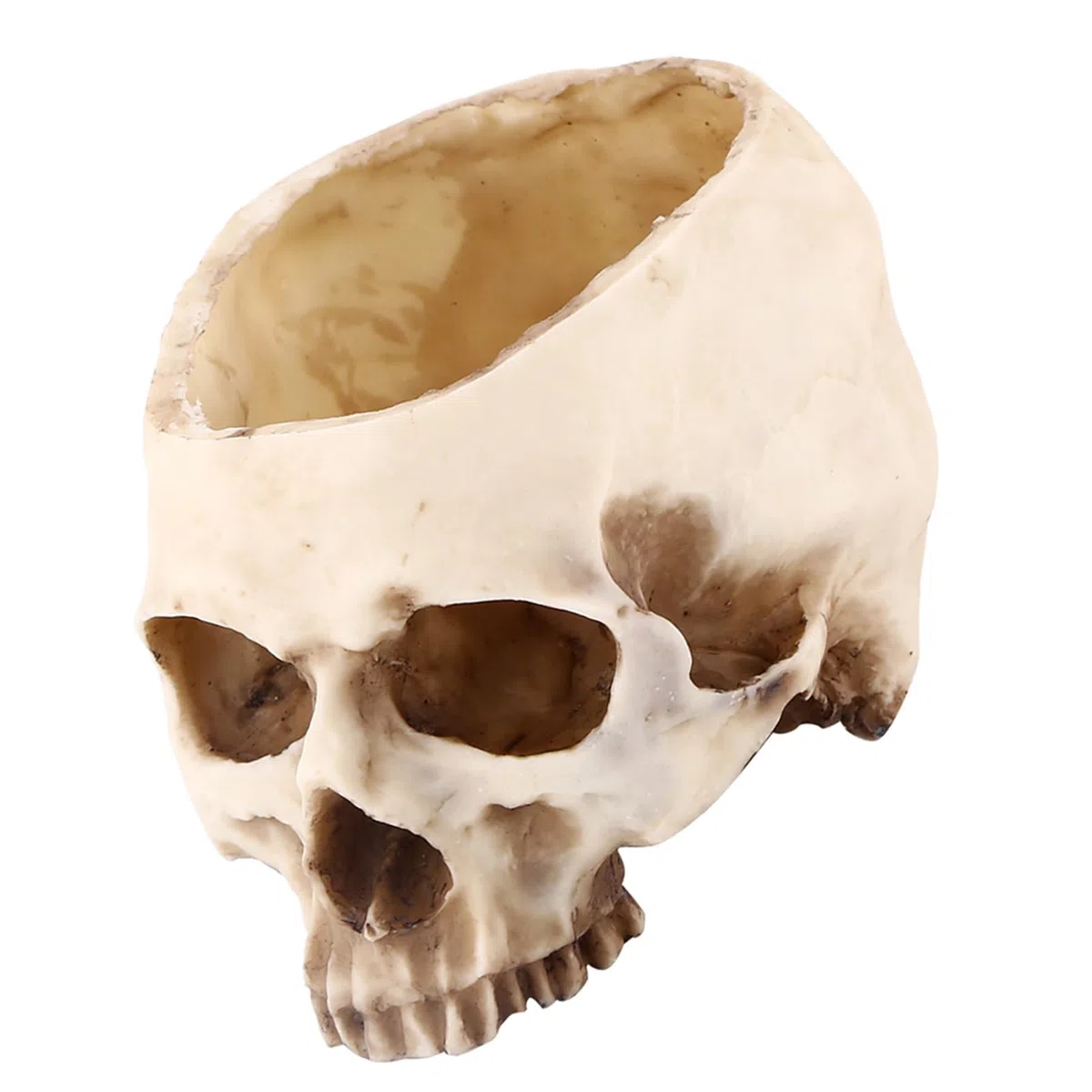 Cabeza de Calavera de Resina, Cabeza de Calavera de Resina Artificial, Cabeza de Calavera Humana Realista, Modelo de Hueso, Cabeza de Resina Moderna con Forma de Calavera, Maceta, Maceta, Contenedor,