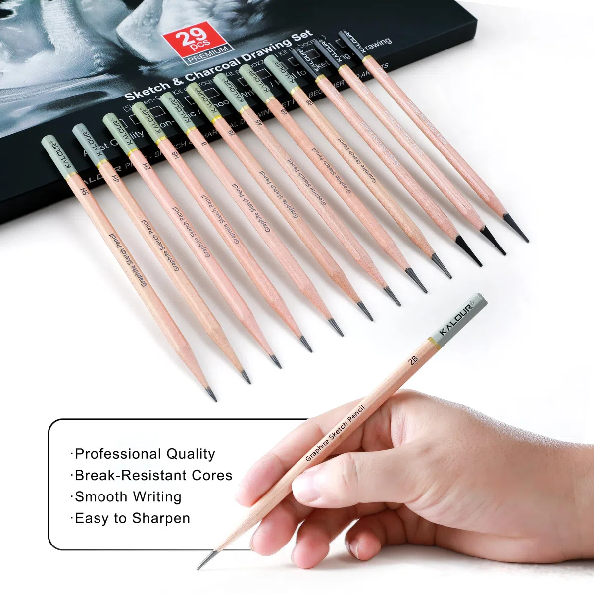 KALOUR Kit profesional para bocetos y dibujo al carbón, 29 piezas, suministros de arte con 14 lápices de grafito, herramientas de carbón y bolsa de lona