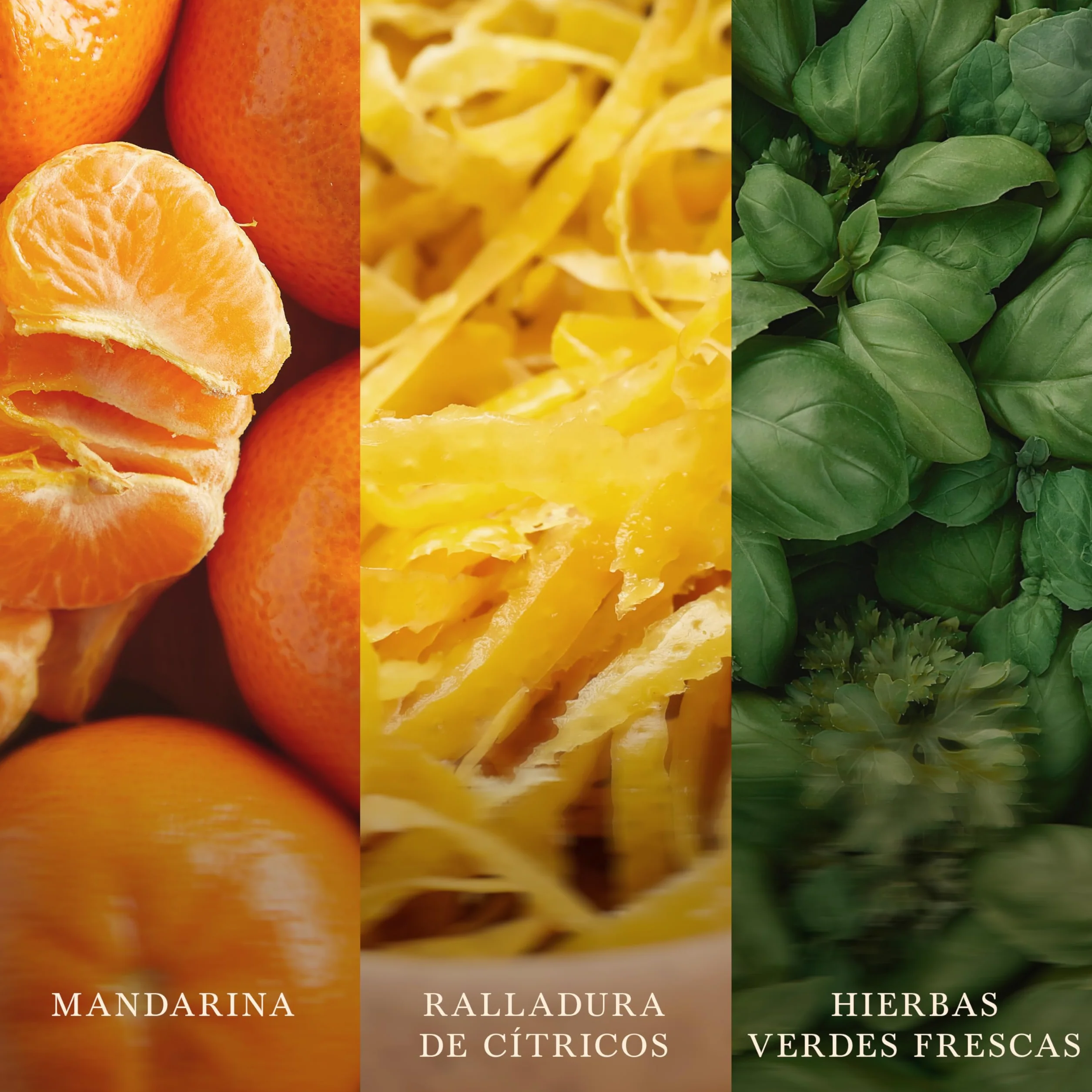WoodWick | Vela Elíptica | Mandarina y Limón | Gran regalo para mujeres