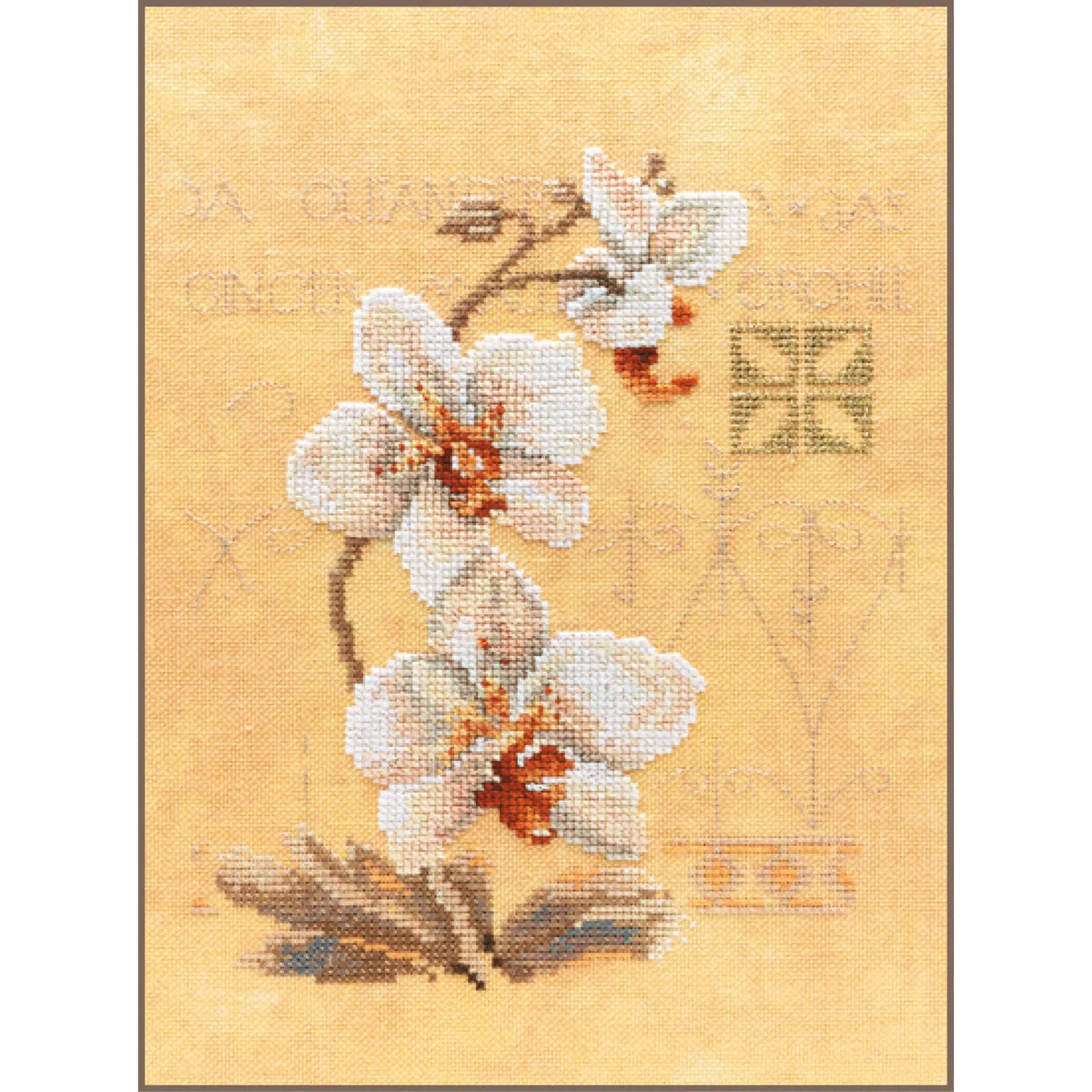 LANARTE Kits De Punto De Cruz Contado Completo Arte De Pared DIY 3 ORQUÍDEAS Set Manualidades Adultos Set Decoracion Salon Creativo Regalo ca. 17 x 23 cm Cross Stitch Embroidery