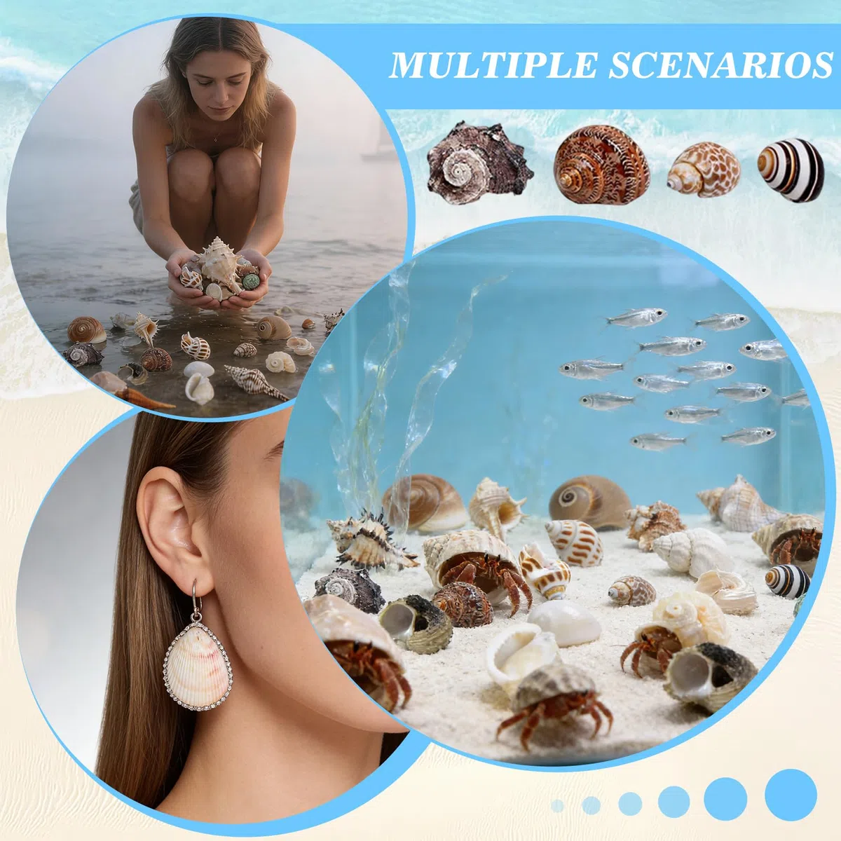 21 Piezas Conchas de Mar Decoracion, Conchas Marinas Mixtas de Playa, Marinas Conches Marines Mixtas, 3-9CM Conches Marines Naturale para Acuarios Peceras Manualidades Jarrones Decoración del