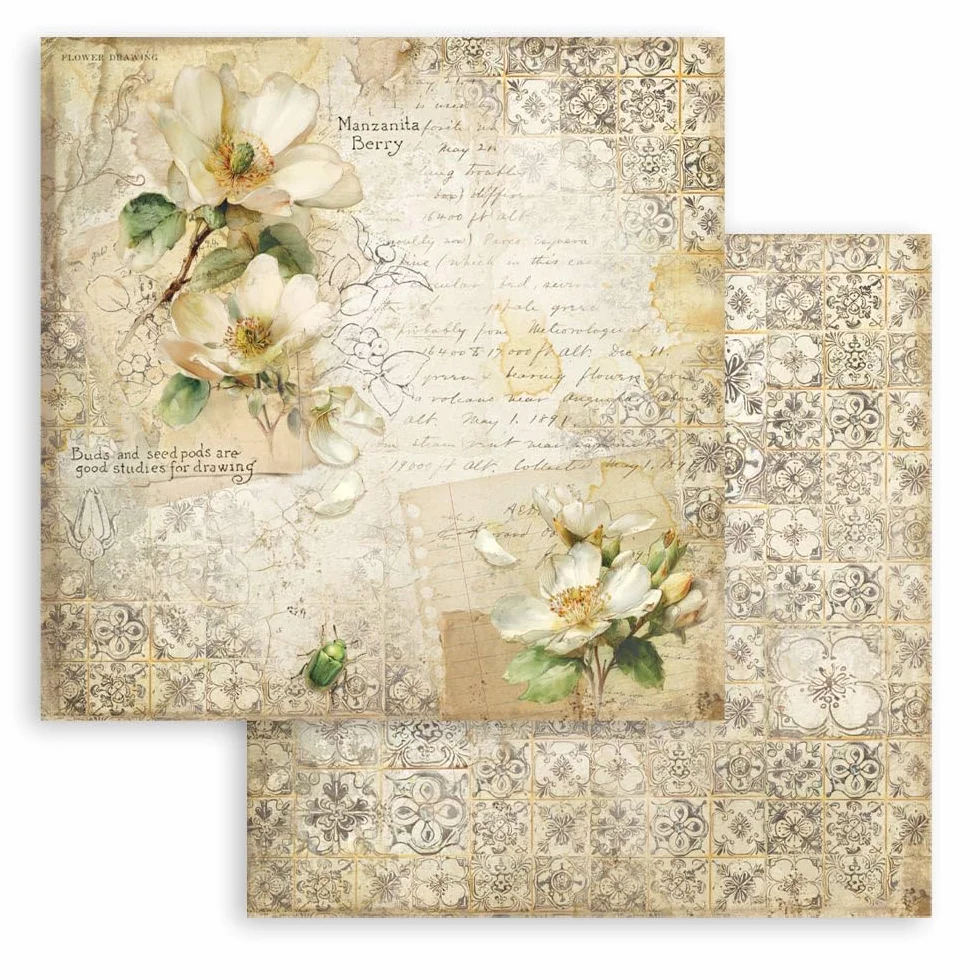 Stamperia - Scrapbook Paper Pad for Scrapbooks, Albums, Cards, Bullet Journals and More, Acid Free, Double-Sided, Perfect for Hobbies, Crafts, and Gifting (All Around) (30.5 x 30.5cm)