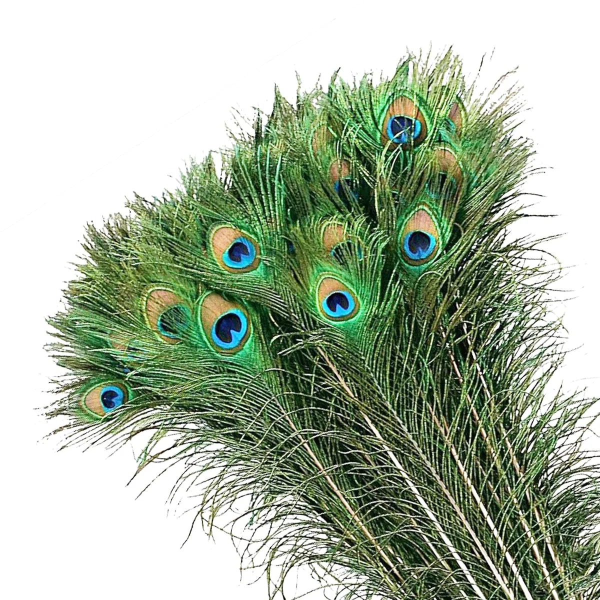 MWOOT 50 pcs Plumas Pavo Real, Plumas Ojo Pavo Real Verde para Arte de Manualidades Bricolaje, Plumas Cola Pavo Real para Decoración Banquete de Boda de la Mascarada del Carnaval (28-32CM)