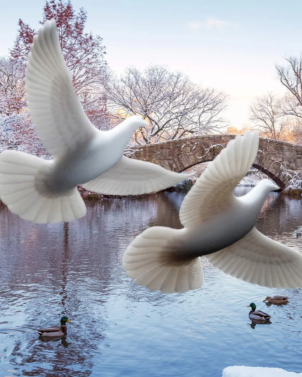 John Perry Christmas Turtle Doves The Official Turtle Doves - Juego de 2 piezas del artista oficial de la película Kevin Alone In NY