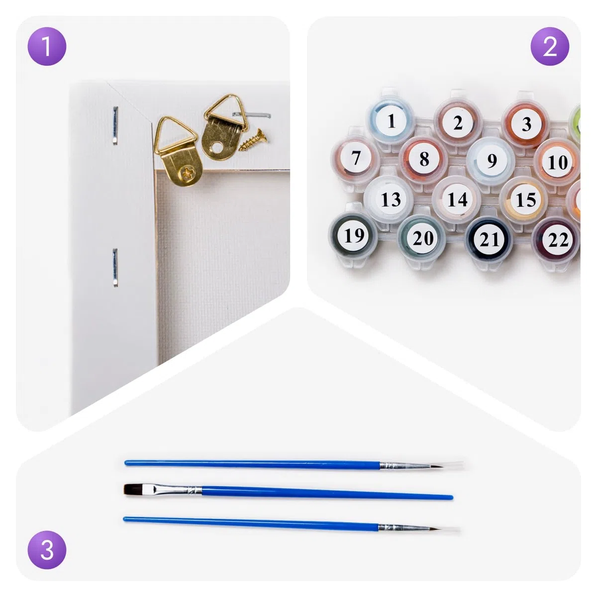 Artnapi Pintura por números Adultos con marco | DIY pintado a mano | Animales - Gato de colores | Kit para principiantes y adultos | Set que incluye pinturas acrílicas y pinceles | Lienzo 40x50cm