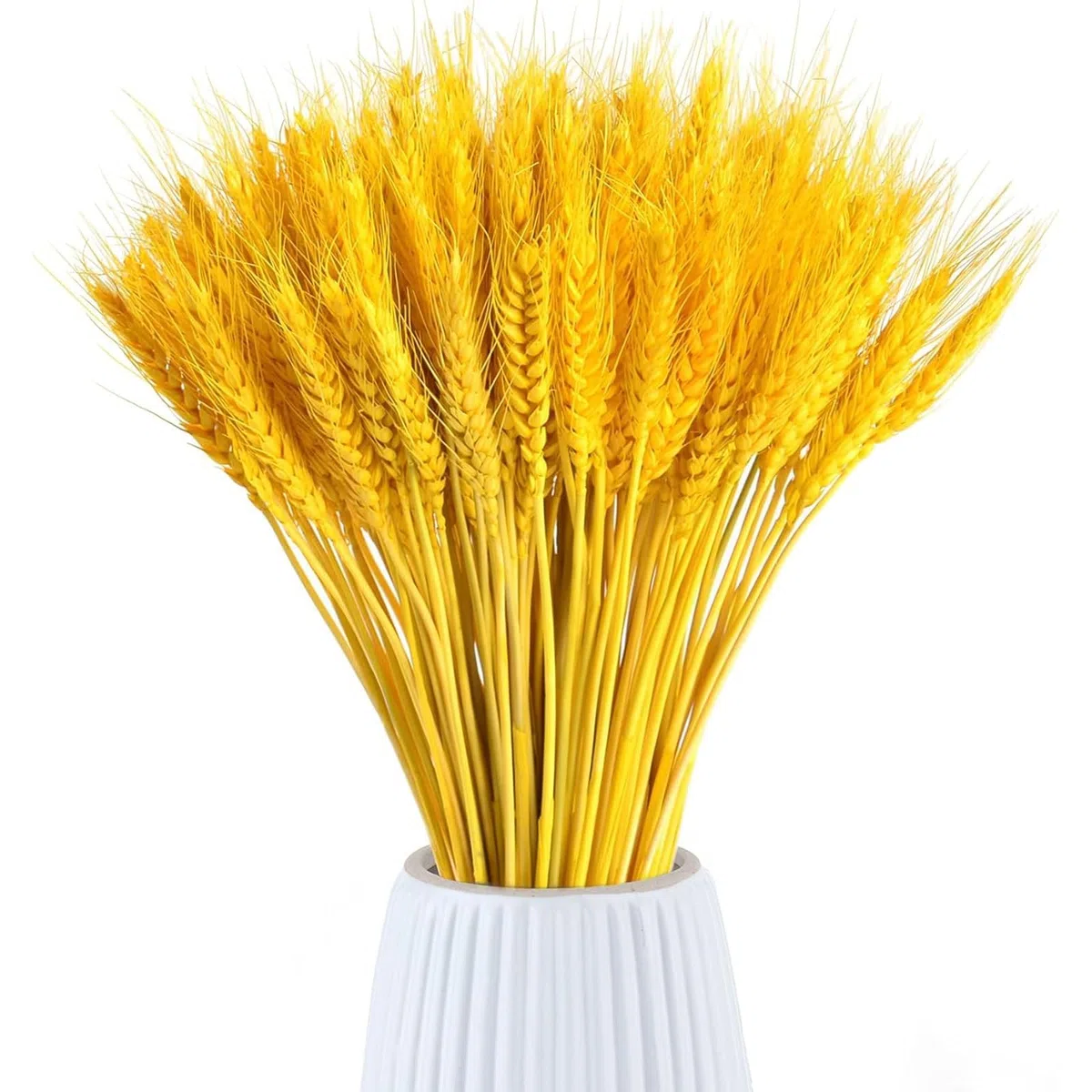 100pcs Flores de Trigo Seco Espigas de Trigo Secas Dried Flowers 45 cm Flores Secas Naturales Adecuado para Decoración de Chimeneas, Mesas, Decoración de Bricolaje y Más