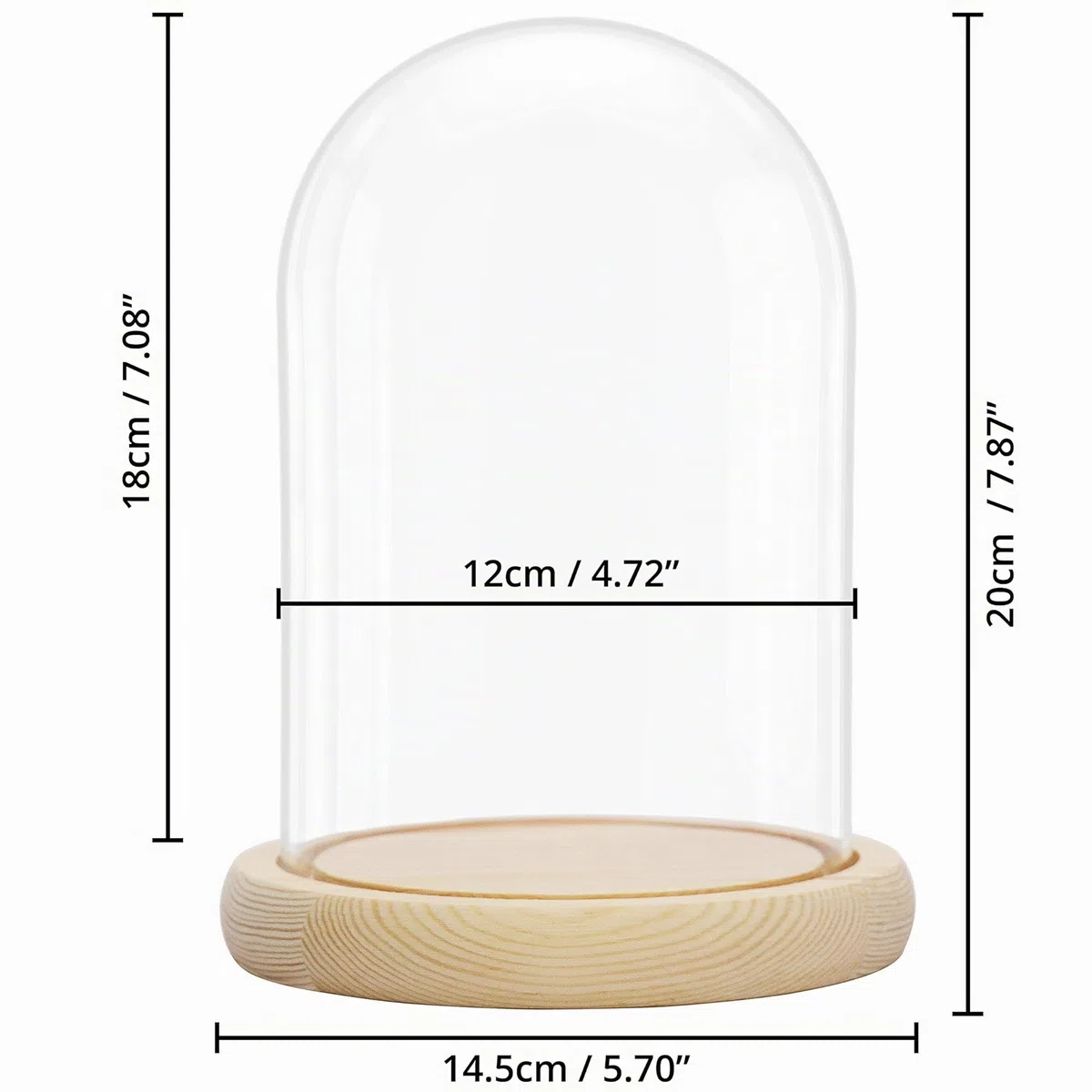 Belle Vous Cúpula Cristal Jarra Domo Campana con Base de Madera Natural – 20cm - Campana Decorativa Transparente Centro de Mesa para Luces de Hada - Urna Antigüedades