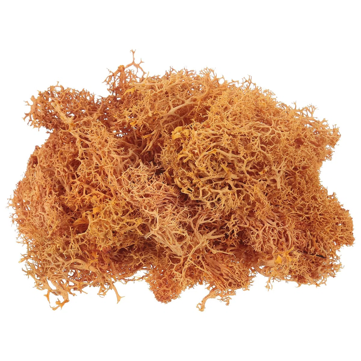 QUARKZMAN Musgo Artificial de 3.5 Oz para Manualidades, Musgo Natural Preservado para Proyectos de Manualidades, Arte Floral, Decoración de Pared, Boda, Jardín (Naranja)